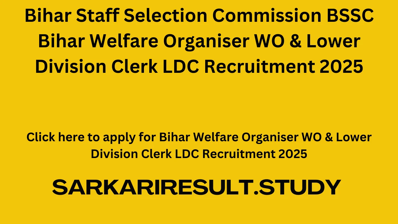 Bihar Welfare Organiser WO & Lower Division Clerk LDC Recruitment 2025
