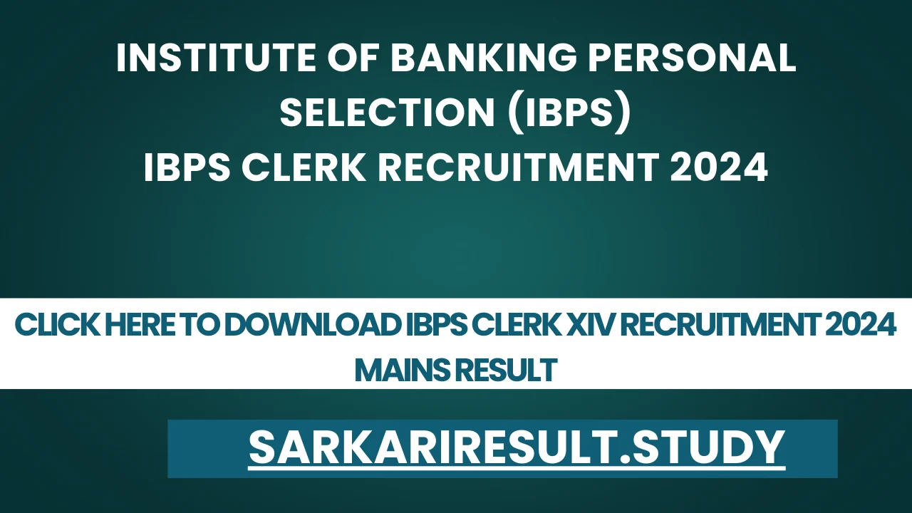 IBPS Clerk XIV Recruitment 2024 Mains Result