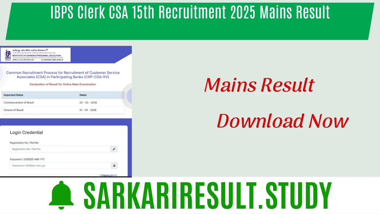 IBPS Clerk CSA 15th Recruitment 2025 Mains Result