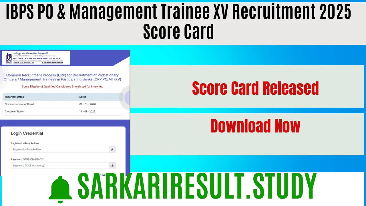 IBPS PO & Management Trainee XV Recruitment 2025 Score Card