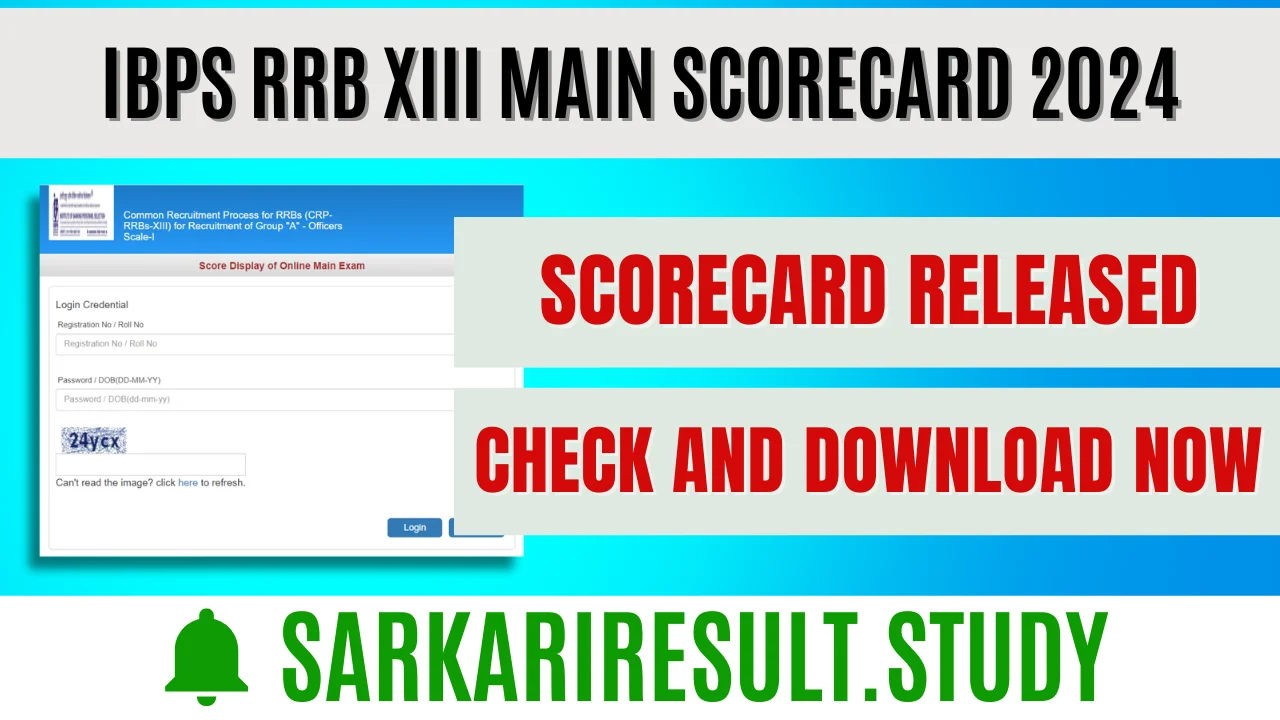 IBPS RRB XIII Main Scorecard 2024