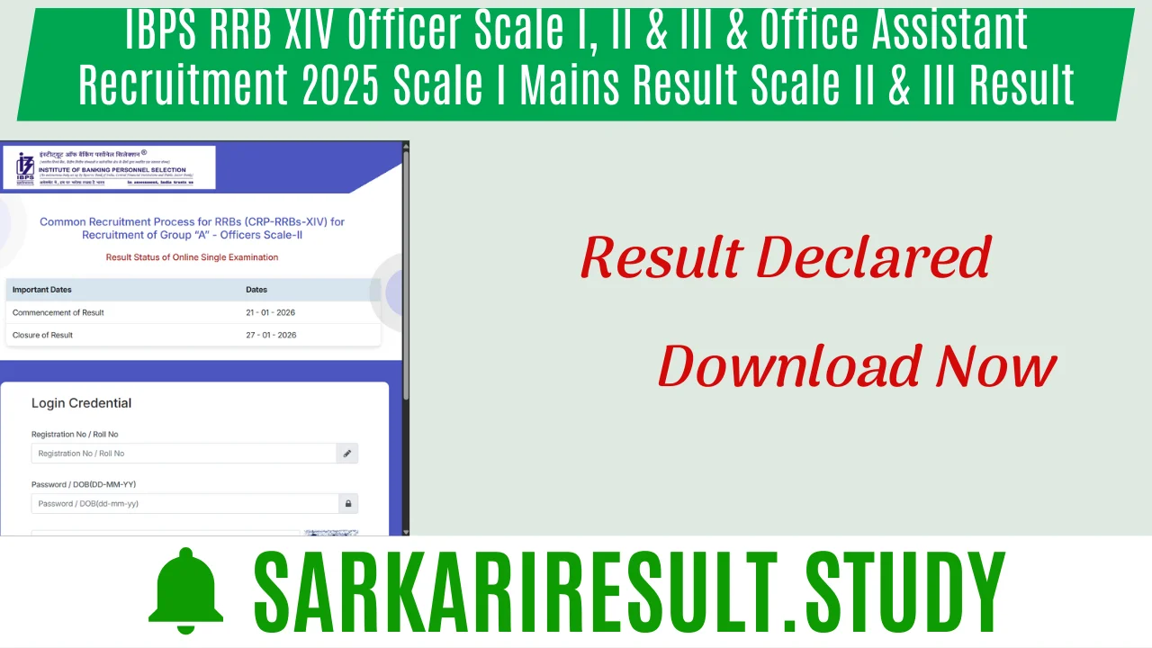 IBPS RRB XIV Officer Scale I, II & III & Office Assistant Recruitment 2025Scale I Mains Result Scale II & III Result