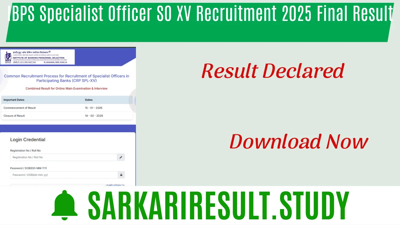 IBPS Specialist Officer SO XV Recruitment 2025 Final Result