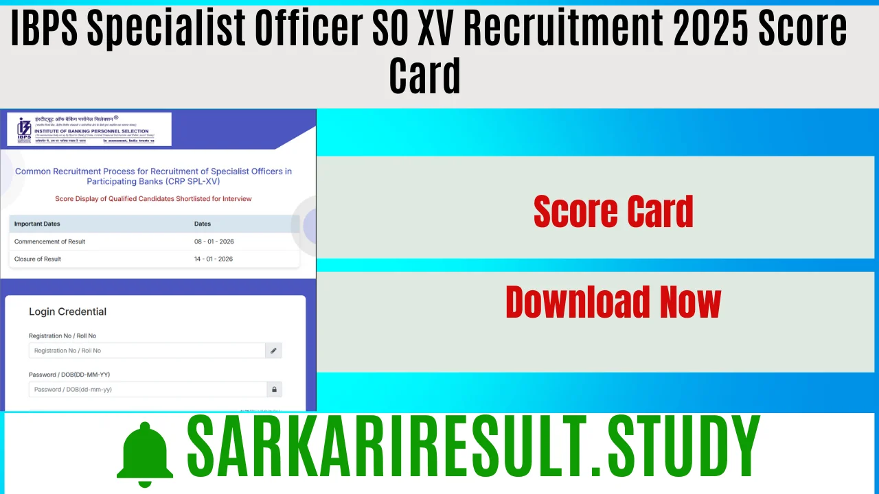 IBPS Specialist Officer SO XV Recruitment 2025 Score Card 
