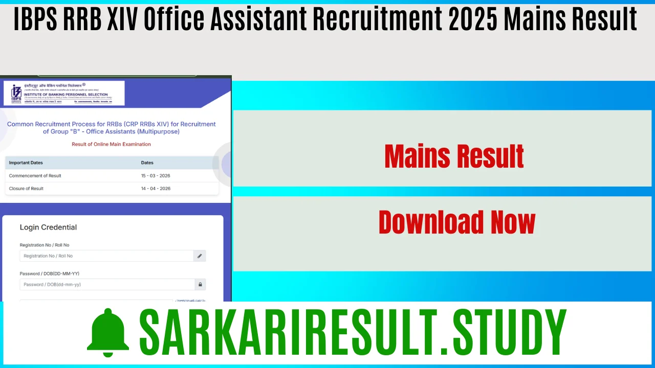 IBPS RRB XIV Office Assistant Recruitment 2025 Mains Result 