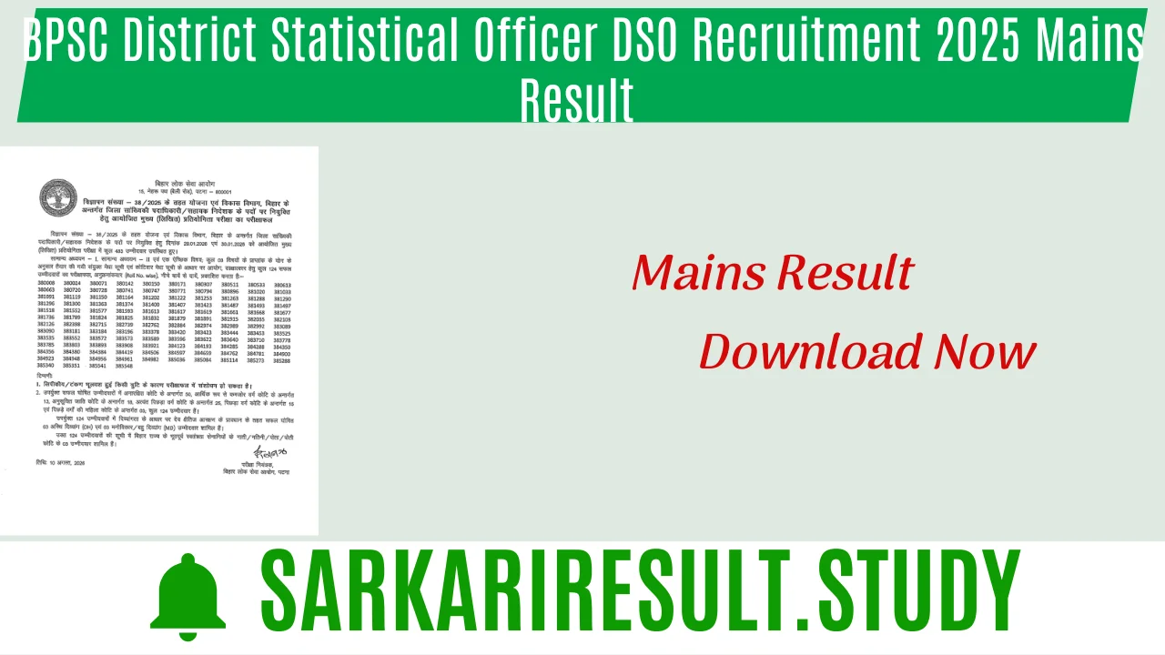 BPSC District Statistical Officer DSO Recruitment 2025 Mains Result 
