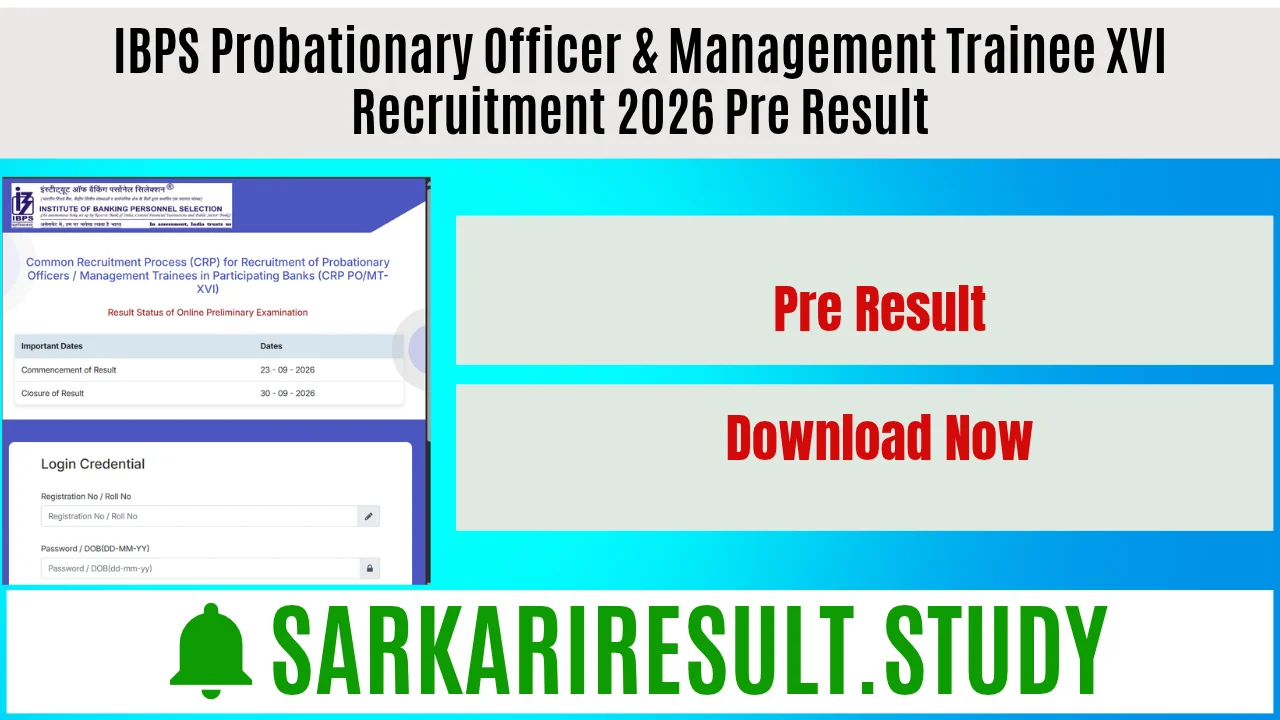  IBPS PO & Management Trainee XVI Recruitment 2026 Pre Result
