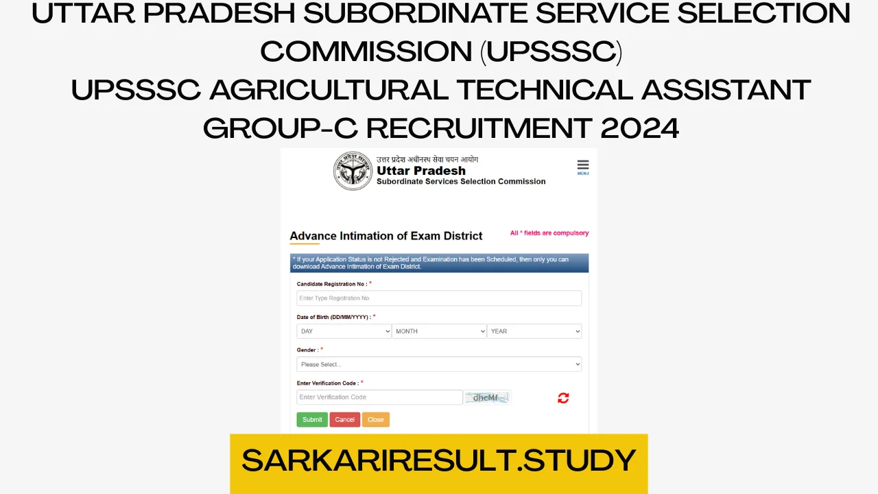 UPSSSC Technical Assistant Group-C Recruitment 2024 Exam City Details
