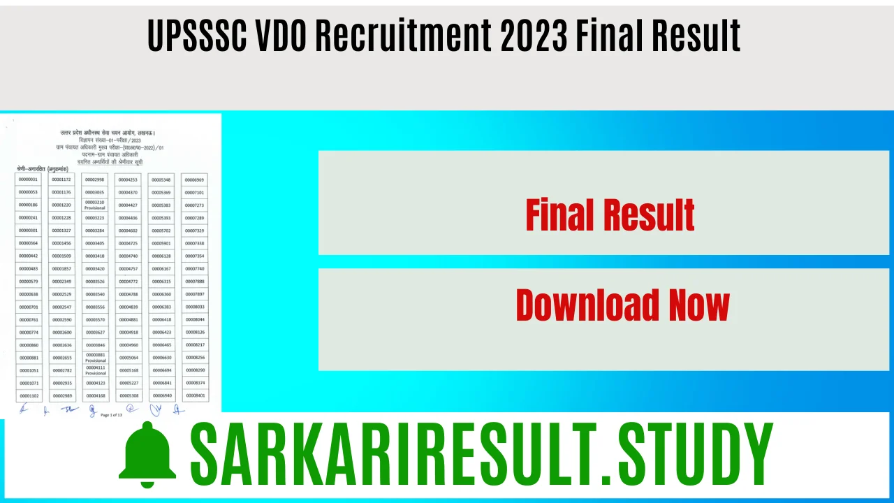 UPSSSC VDO Recruitment 2023 Final Result 