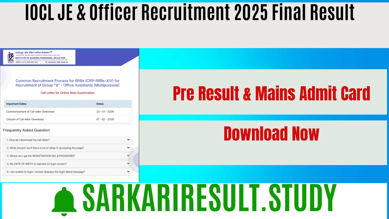 IBPS RRB XIV Office Assistant Recruitment 2025 Pre Result & Mains Admit Card 